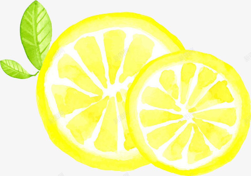 手绘柠檬切片png免抠素材_新图网 https://ixintu.com 手绘 柠檬切片 水彩 水果