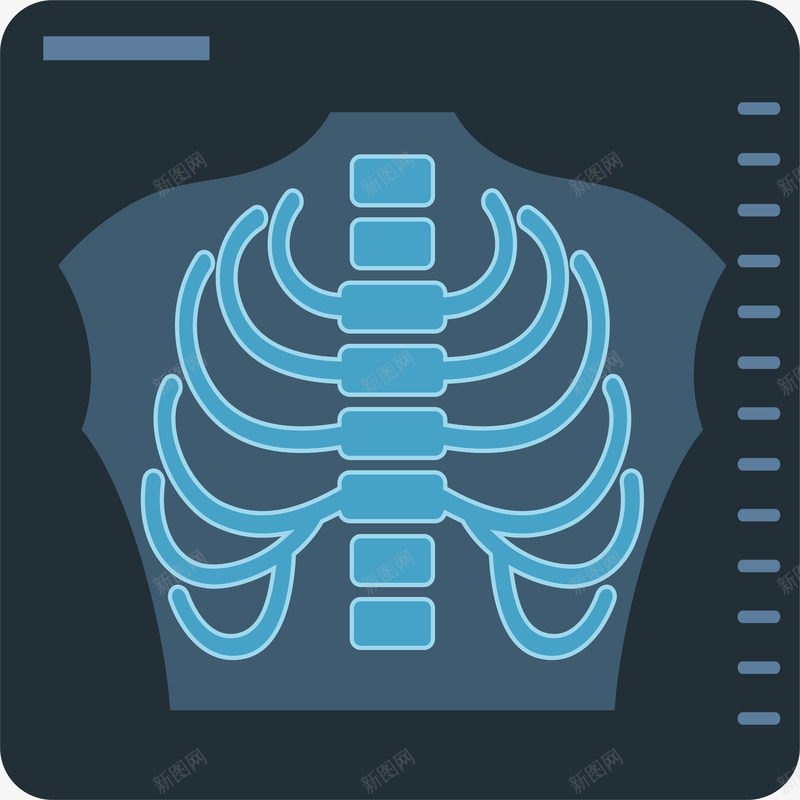 骨骼照片图标png_新图网 https://ixintu.com 医疗 卡通装饰 扁平化 深色底纹 设计图标 骨骼照片