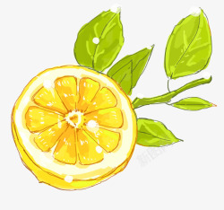 手绘柠檬水果插画素材