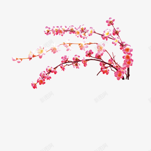 玫粉桃花花枝png免抠素材_新图网 https://ixintu.com 桃花 花枝