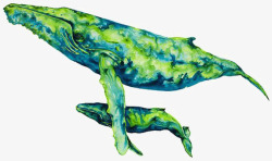 鲸鱼宝宝水彩鲸鱼高清图片