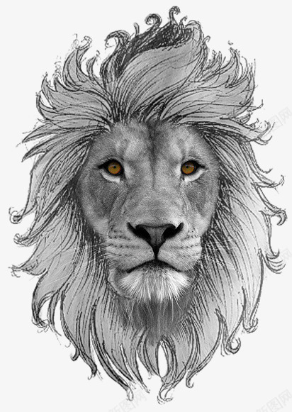 手绘狮子头像png免抠素材_新图网 https://ixintu.com 免抠图 动物 抠图 插画 狮子 狮子头像 装饰画
