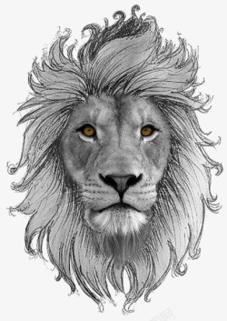 手绘狮子头像素材