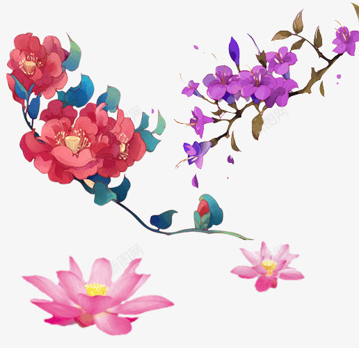 漂亮的花朵png免抠素材_新图网 https://ixintu.com 紫色的花 红色的花朵 花枝 荷花 莲花