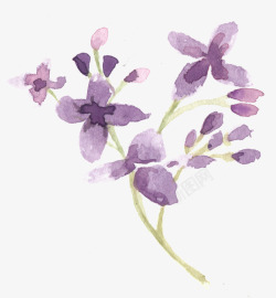 紫色小花花枝素材