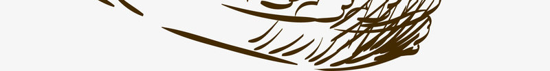 咖啡色线条鸟笼png免抠素材_新图网 https://ixintu.com 免抠PNG 咖啡色 线条 花枝 装饰图案 鸟笼