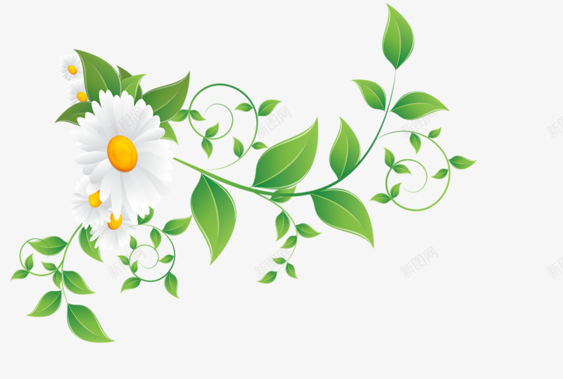 现代装饰花朵png免抠素材_新图网 https://ixintu.com 实用 白色 藤曼植物 装饰