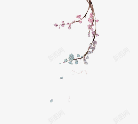 手绘花朵花枝装饰png免抠素材_新图网 https://ixintu.com 手绘 花朵 花枝 装饰