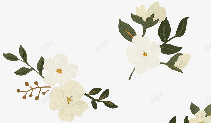彩绘白色花朵花枝png免抠素材_新图网 https://ixintu.com 图片 彩绘 白色 花朵 花枝