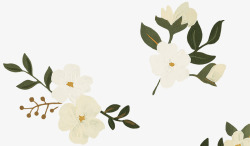 彩绘白色花朵花枝素材