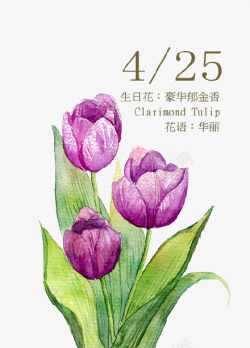 紫色华丽背景手绘花卉高清图片
