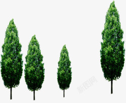 绿色环保高大植物大树素材