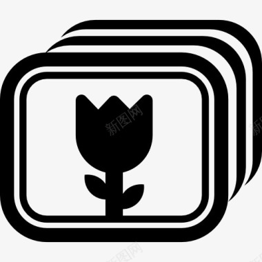 花卉摄影的界面选项符号图标图标