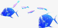 海底动物夏日蓝色小鱼群素材