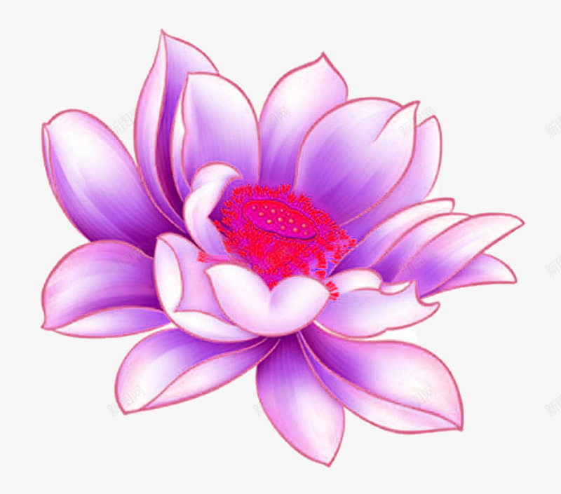 带紫的莲花png免抠素材_新图网 https://ixintu.com 卡通 植物 花卉 花朵 莲花 装饰