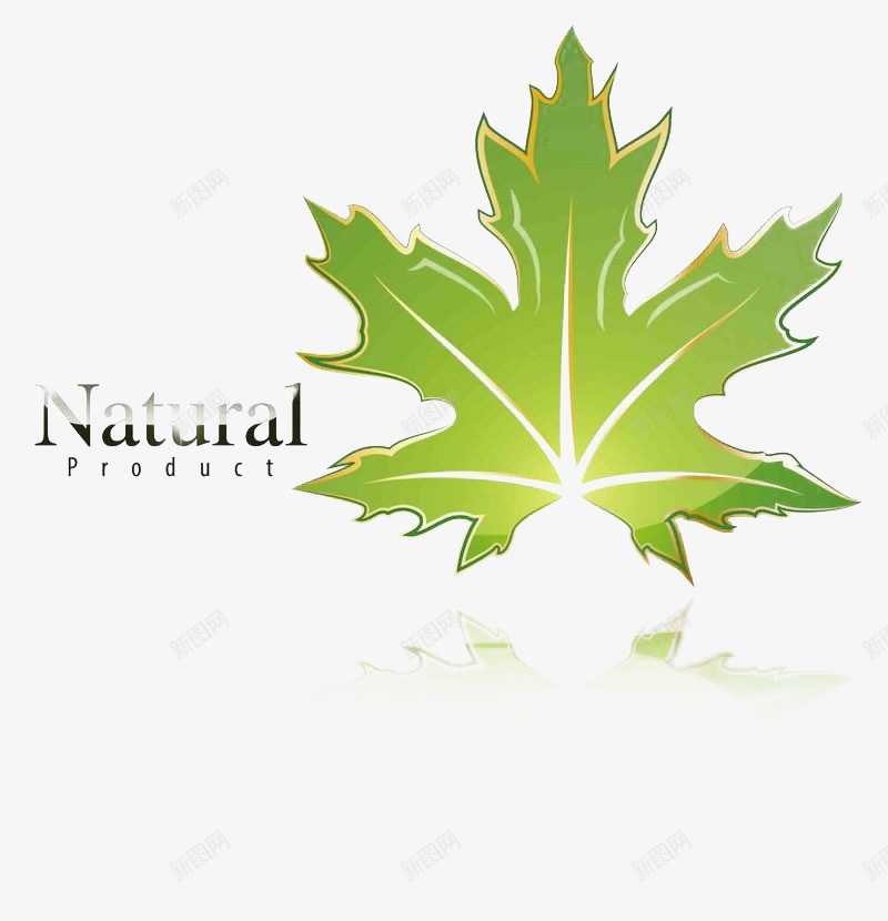绿色植物的叶子png免抠素材_新图网 https://ixintu.com 健康 新鲜 环保 维他命 绿色