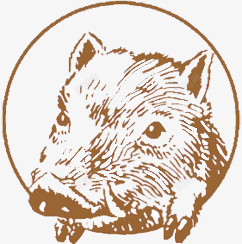 野猪png免抠素材_新图网 https://ixintu.com 剪纸 泥土色 野猪