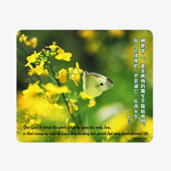 绿色环保鼠标垫绿色环保鼠标垫高清图片