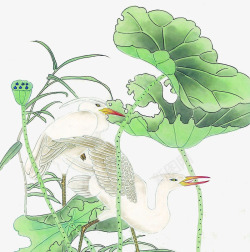 工笔莲花素材