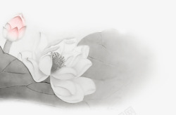 淡色莲花水墨莲花高清图片