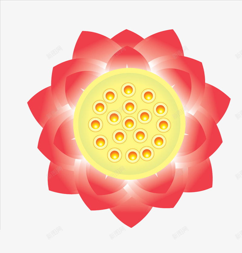 美的视觉png免抠素材_新图网 https://ixintu.com 绽放 艺术 莲子 莲花 金莲花