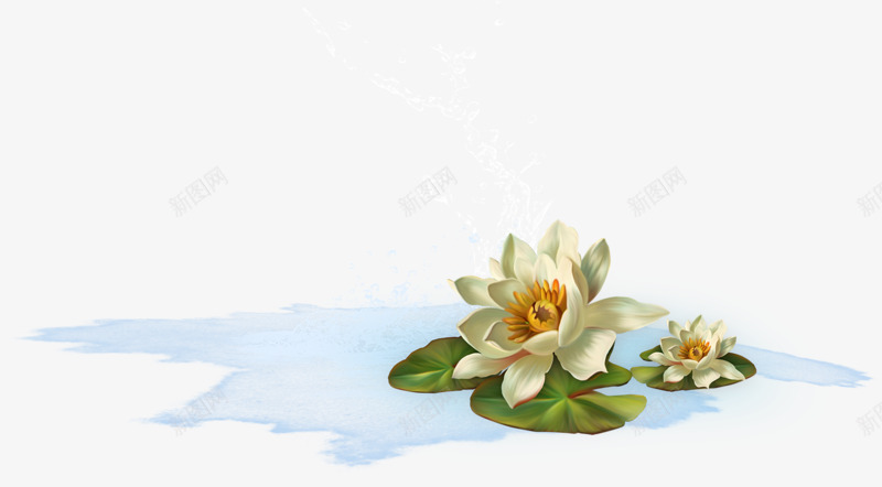 白色莲花植物png免抠素材_新图网 https://ixintu.com 植物素材 白色 花朵 莲花