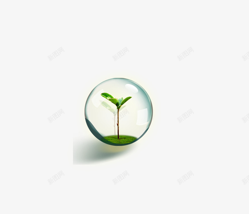温室里的植物png免抠素材_新图网 https://ixintu.com 叶子 嫩叶 植物 环保 球状