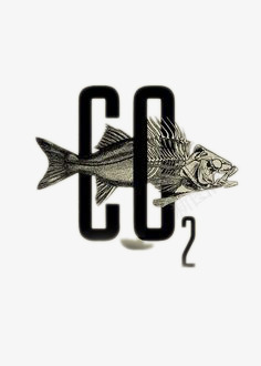 二氧化碳与鱼的死亡png免抠素材_新图网 https://ixintu.com 二氧化碳 创意海报设计 环保 鱼