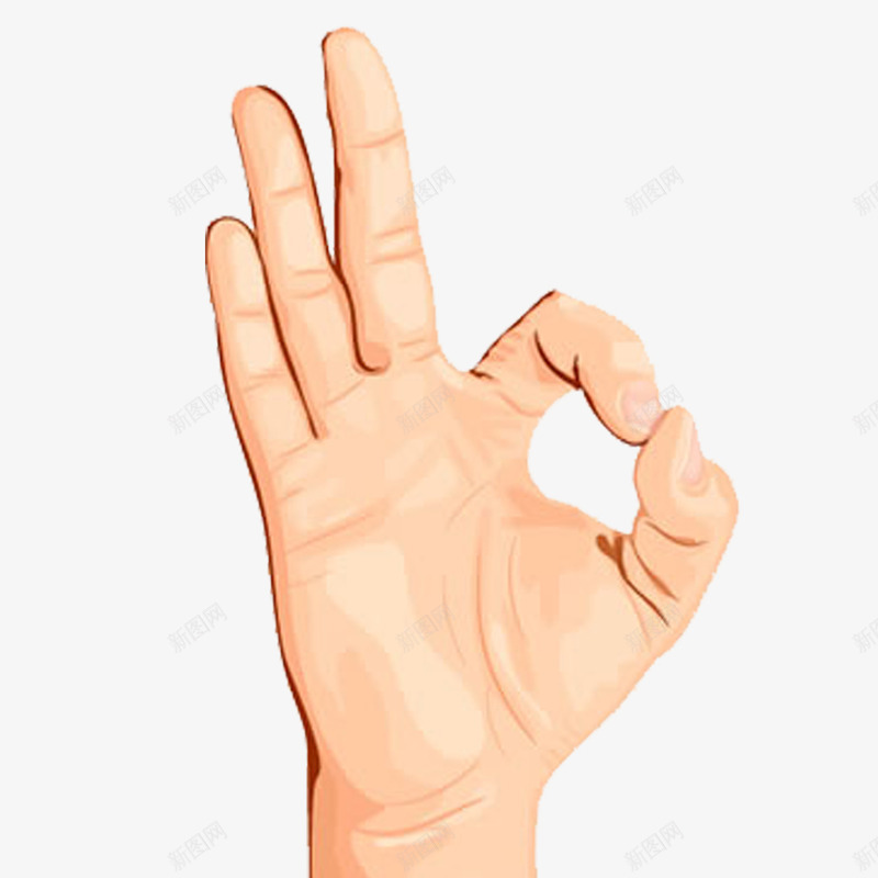 男人的手png免抠素材_新图网 https://ixintu.com 手指 男人手 男人的手指 矢量男人手 立体 简约