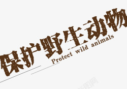 保护野生动物保护野生动物高清图片