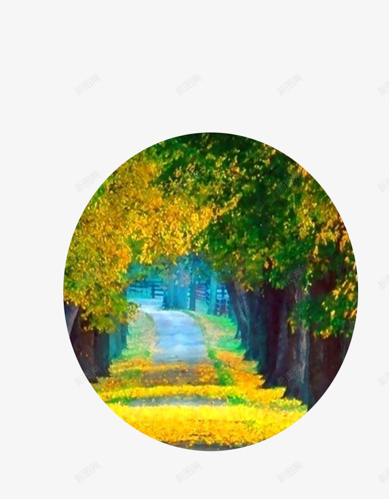 清幽小道风景照png免抠素材_新图网 https://ixintu.com 摄影作品 树叶 照片 风景 黄色
