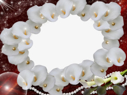 白色花装饰的边框素材