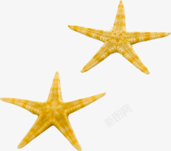 夏日沙滩海边五角星海星素材