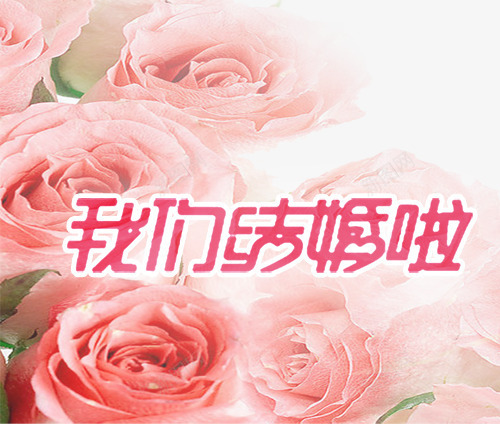 我们结婚了玫瑰花背景png免抠素材_新图网 https://ixintu.com 婚庆艺术字 平面设计 平面设计元素 玫瑰花 玫瑰花背景 装饰图案