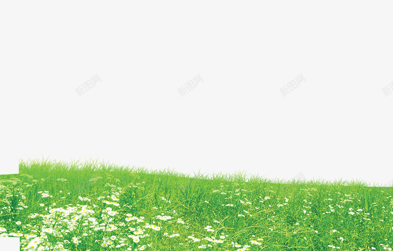 夏日海报风景绿色草坪png免抠素材_新图网 https://ixintu.com 夏日 海报 绿色 草坪 风景