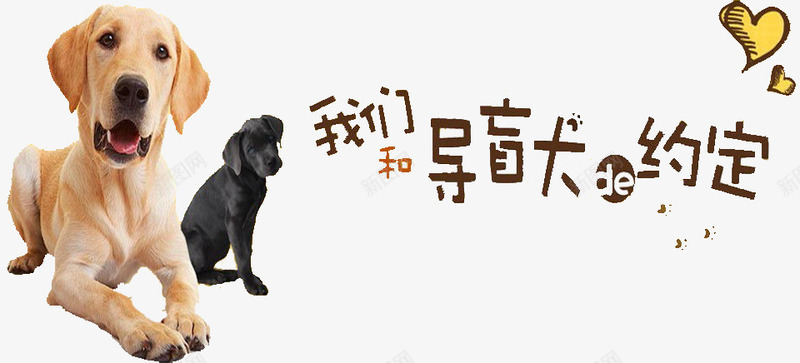 和导盲犬的约定png免抠素材_新图网 https://ixintu.com 导盲犬 导盲犬宣传海报 尊重导盲犬 我们和导盲犬的约定 爱护导盲犬 爱护导盲犬宣传海报