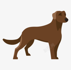 棕色宠物狗手绘卡通棕色宠物狗扁平化高清图片