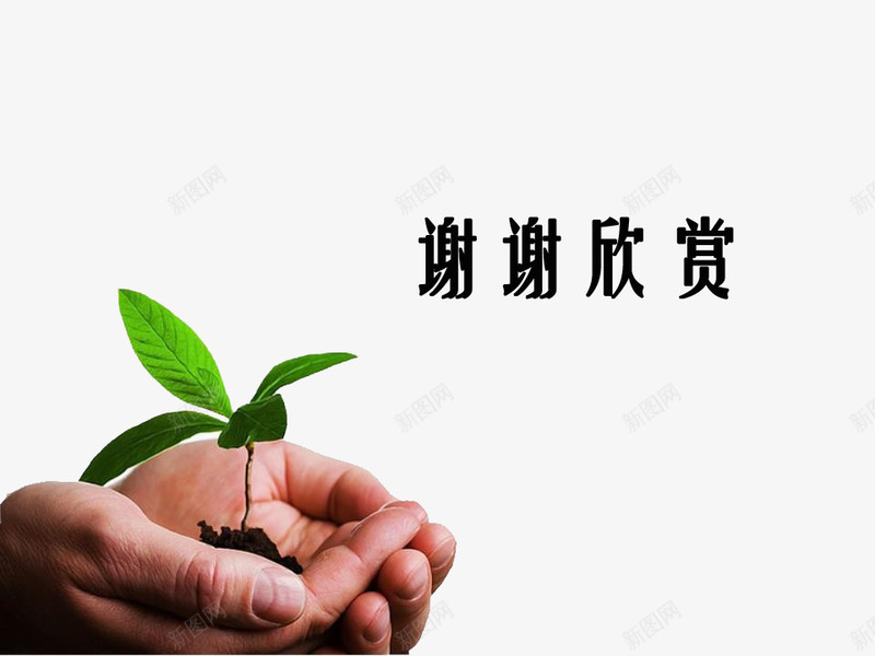 手捧植物谢谢欣赏环保png免抠素材_新图网 https://ixintu.com 手捧 植物 环保 观赏 谢谢欣赏