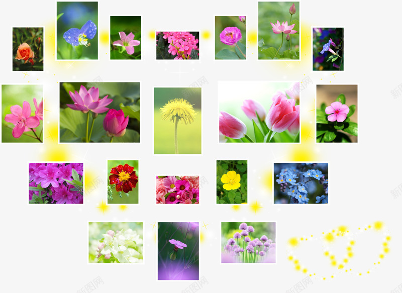 花朵心形照片墙免费png免抠素材_新图网 https://ixintu.com 免费 免费素材 心形照片墙 照片素材 花朵 花朵素材 莲花