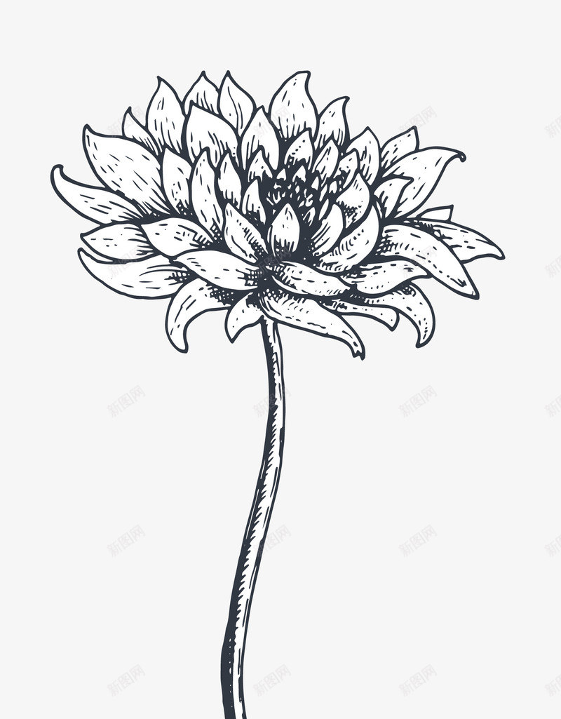 灰色的莲花png免抠素材_新图网 https://ixintu.com png图形 png装饰 手绘 植物 莲花 装饰