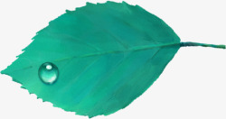 绿色环保素材手绘绿色环保树叶露珠高清图片