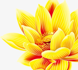黄色手绘花朵莲花素材