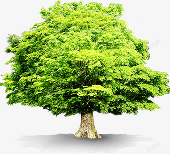 节能环保大树创意png免抠素材_新图网 https://ixintu.com 创意 大树 环保 节能