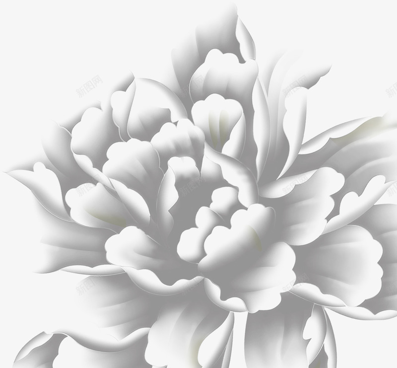 摄影海报白色剪纸花朵png免抠素材_新图网 https://ixintu.com 剪纸 摄影 海报 白色 花朵 设计