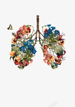 手绘植物肺部素材