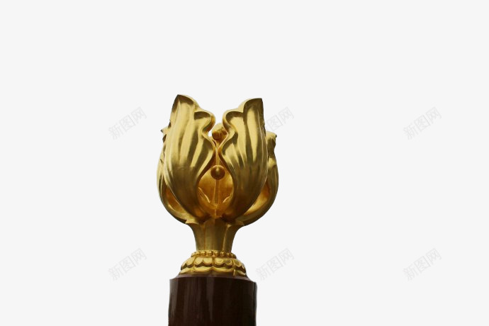 金色花卉形奖杯png免抠素材_新图网 https://ixintu.com 奖杯 花卉 金色
