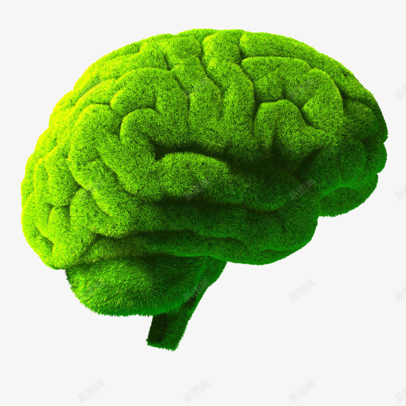 绿色大脑psd免抠素材_新图网 https://ixintu.com 创意 大脑 环保 绿色 造型