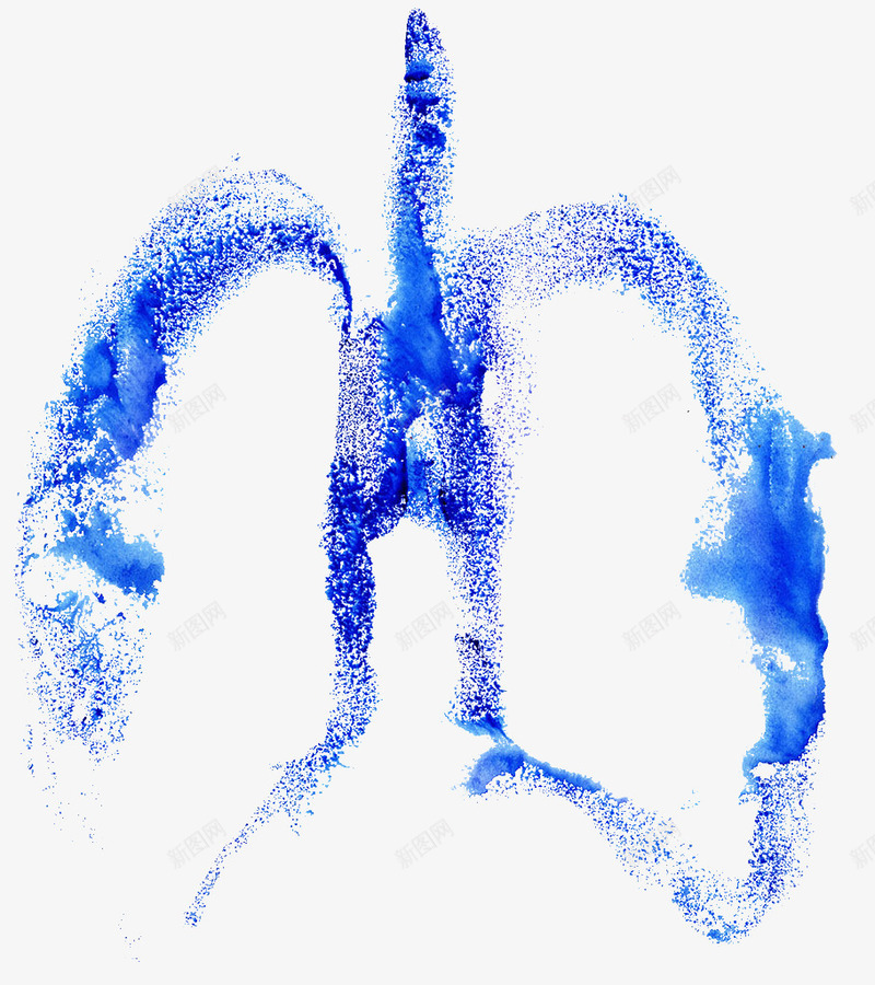 肺png免抠素材_新图网 https://ixintu.com 环保 环保素材 肺 装饰