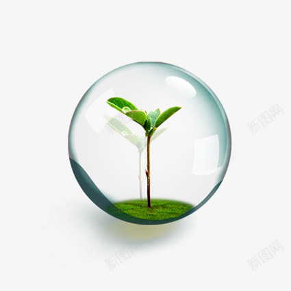 透明气泡里的小树png免抠素材_新图网 https://ixintu.com 小树 气泡 环保