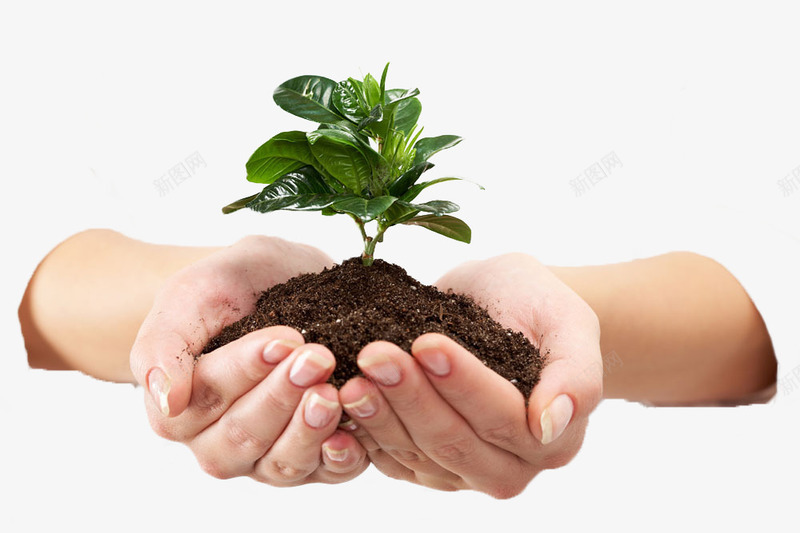 绿色环保植物png免抠素材_新图网 https://ixintu.com 公益 手捧绿植 植物 环保
